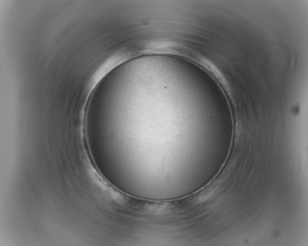 X0000089341386200706221108