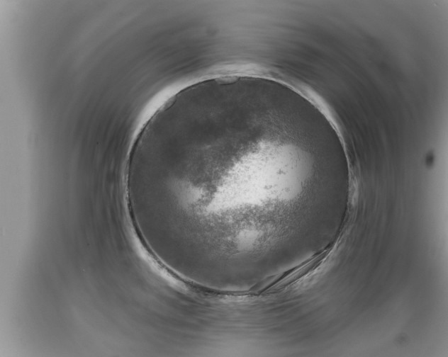 X0000089341389200706221108
