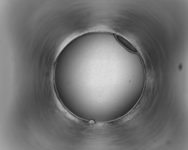 X0000089341390200706221108