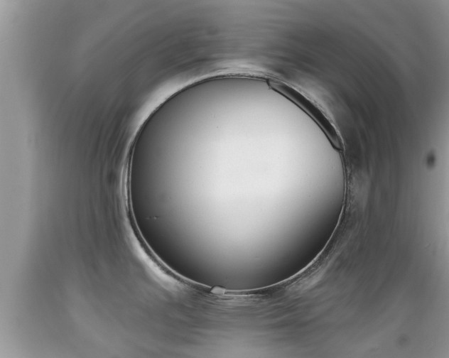 X0000089341391200706221108