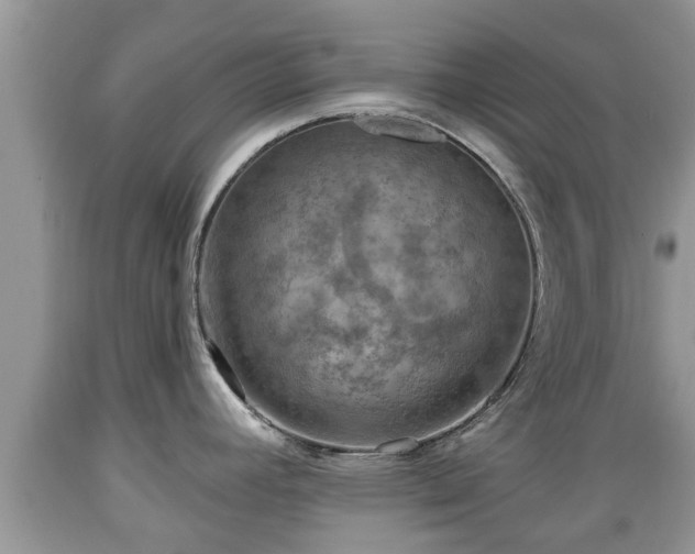 X0000089341392200706221108