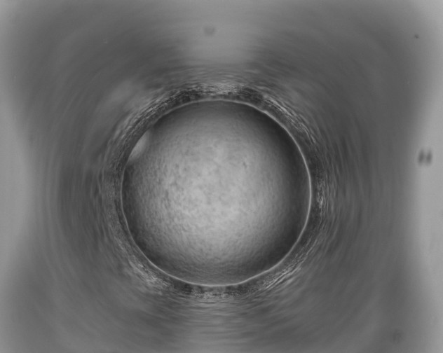 X0000089341393200706221107