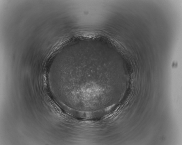 X0000089341394200706221108