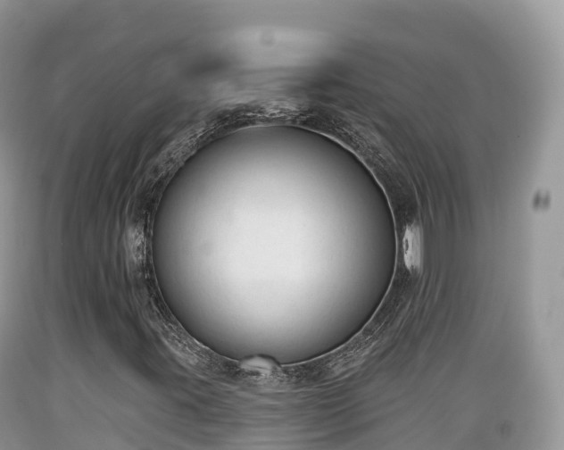 X0000089341395200706221108