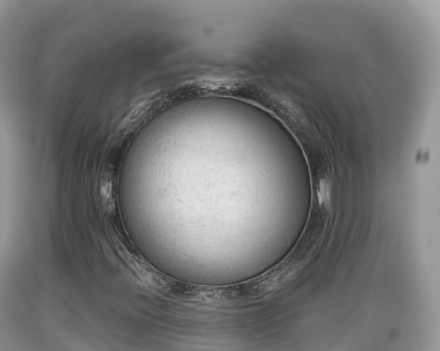 X0000089341396200706221108