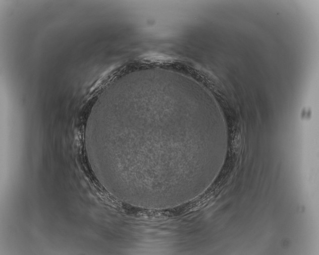 X0000089341397200706221108