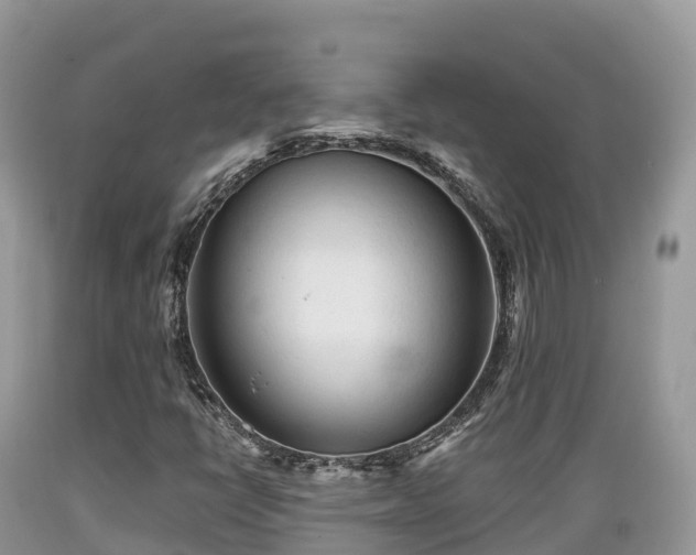 X0000089341398200706221108