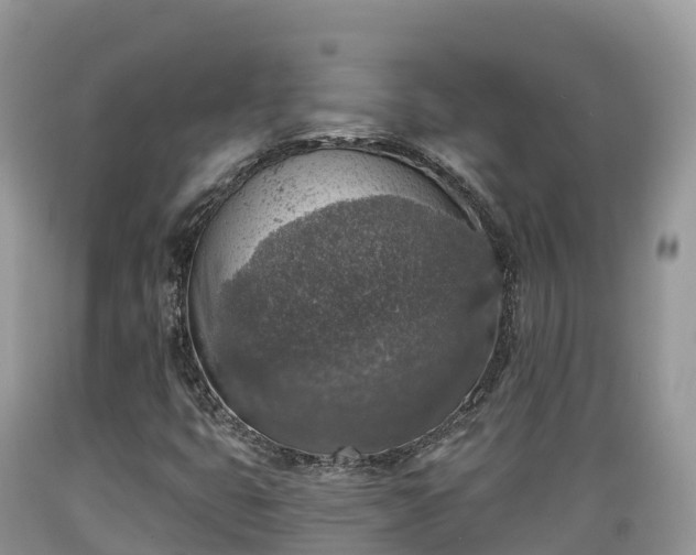 X0000089341399200706221108