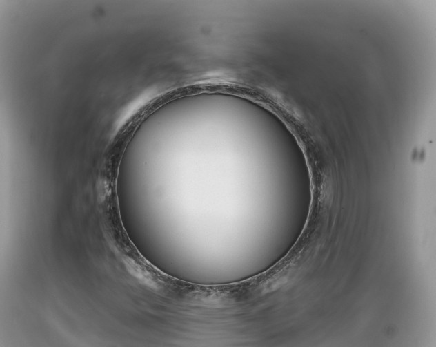 X0000089341400200706221108