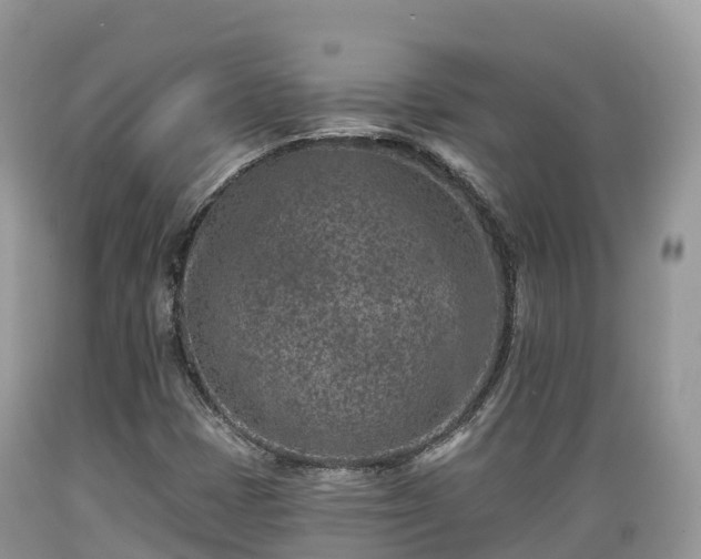 X0000089341401200706221108