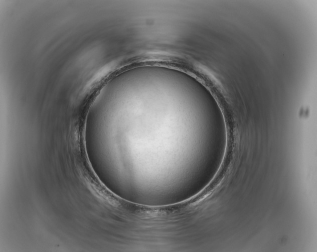 X0000089341403200706221108
