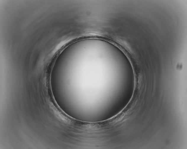 X0000089341404200706221108