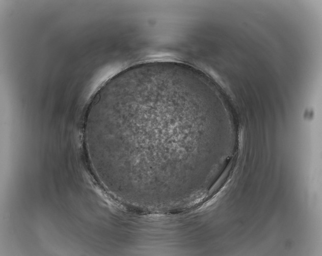 X0000089341405200706221108