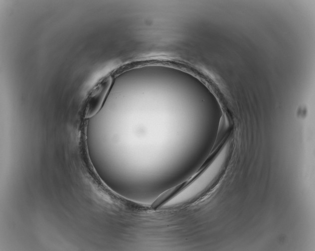 X0000089341406200706221108