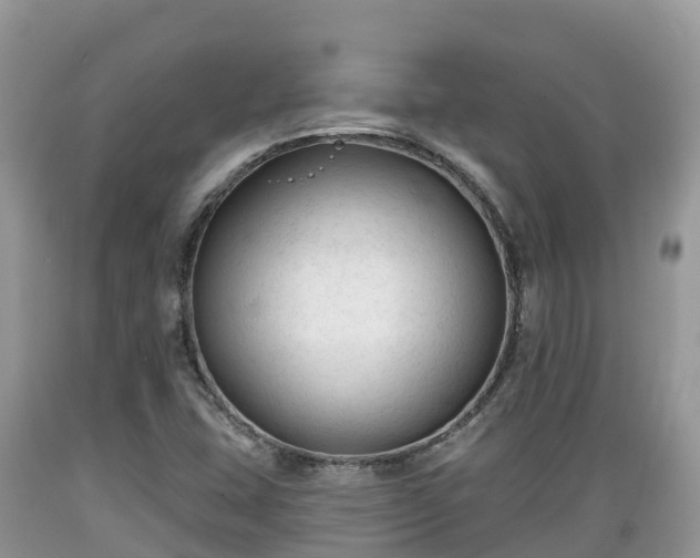 X0000089341407200706221108