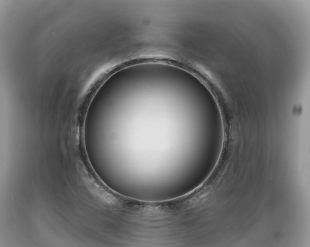 X0000089341408200706221108