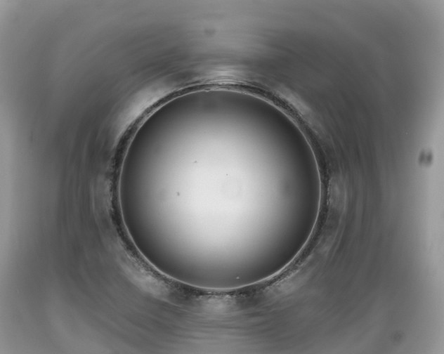 X0000089341410200706221108
