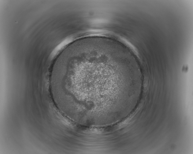 X0000089341411200706221108