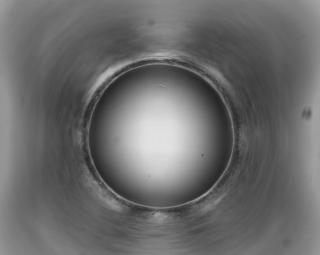 X0000089341412200706221108