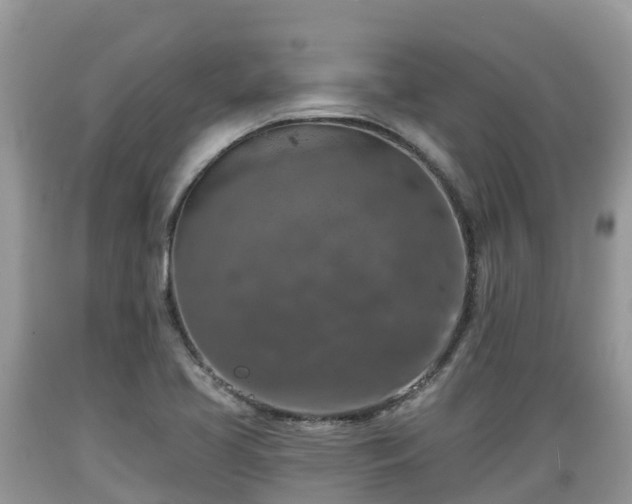 X0000089341413200706221108