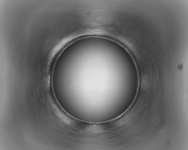 X0000089341414200706221108