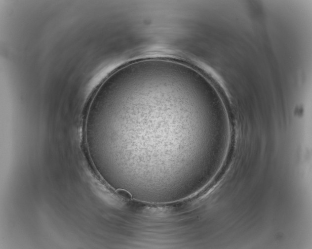 X0000089341415200706221108