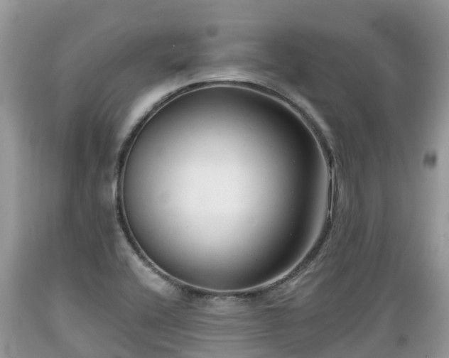 X0000089341416200706221108