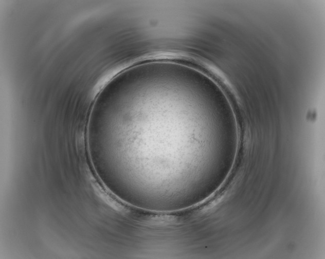 X0000089341417200706221108