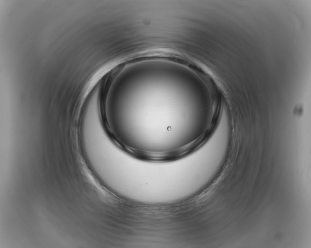 X0000089341418200706221108