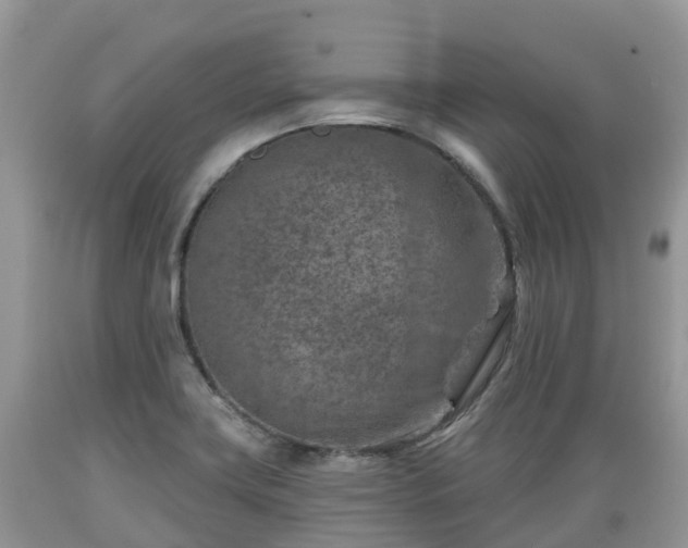 X0000089341419200706221108