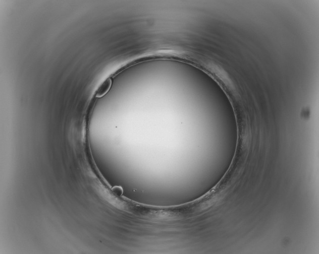 X0000089341420200706221108