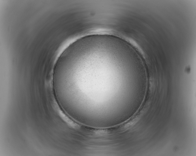 X0000089341421200706221108
