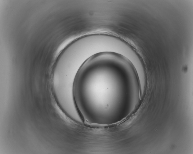 X0000089341422200706221108
