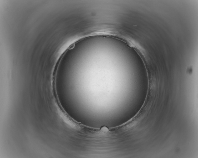 X0000089341423200706221108