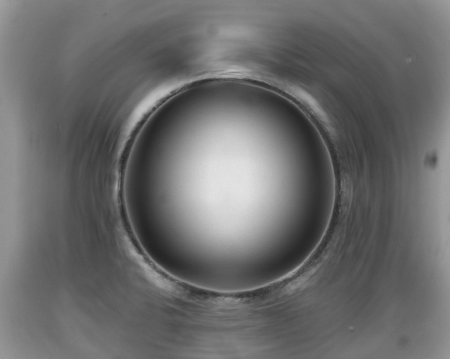 X0000089341424200706221108