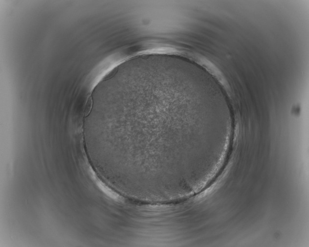 X0000089341425200706221108