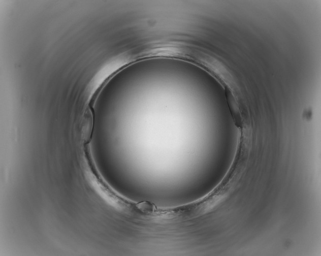 X0000089341426200706221108