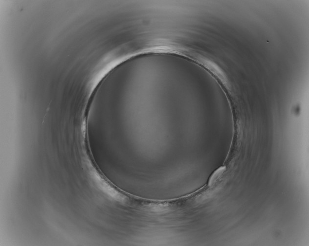 X0000089341428200706221108