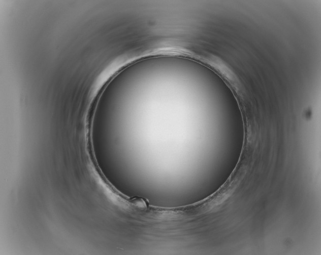 X0000089341430200706221108