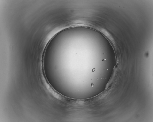 X0000089341431200706221108