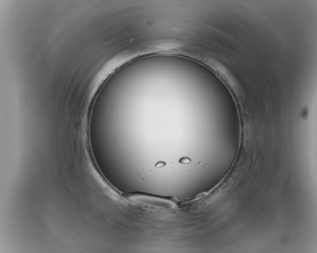 X0000089341432200706221108