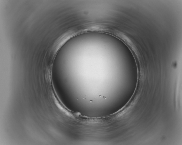 X0000089341433200706221108
