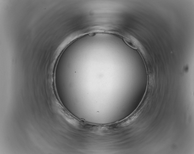 X0000089341435200706221108
