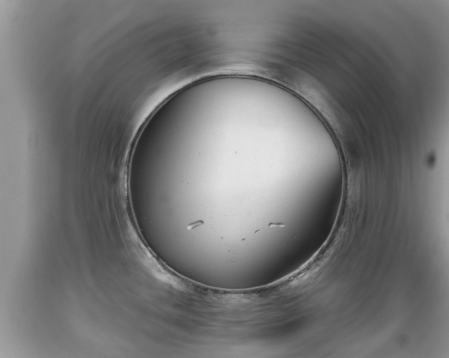 X0000089341436200706221108