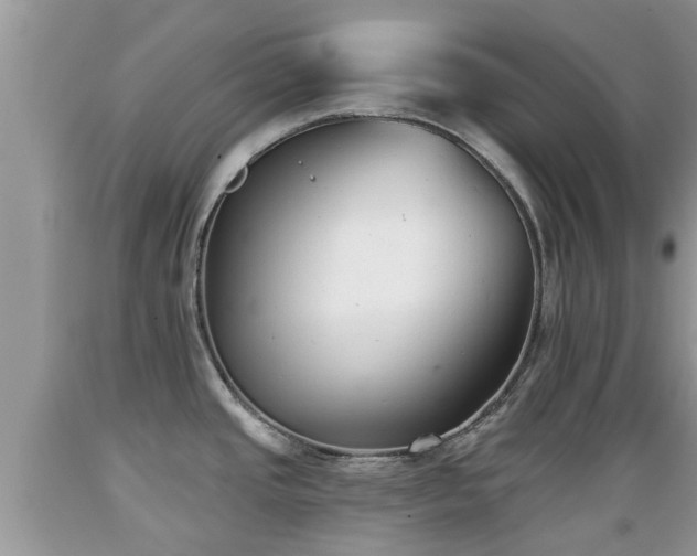 X0000089341437200706221108