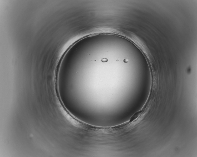 X0000089341438200706221108