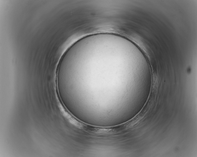 X0000089341439200706221108