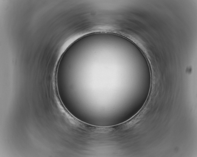 X0000089341440200706221108