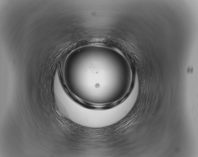 X0000089341441200706221107