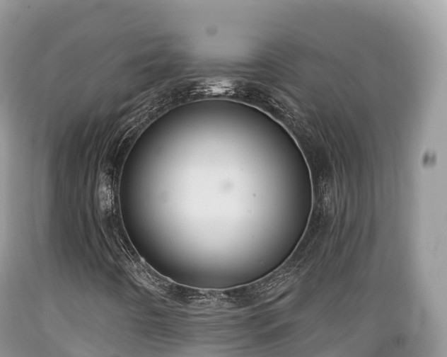 X0000089341442200706221107